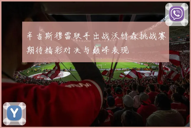 辛吉斯穆雷联手出战沃特森挑战赛期待精彩对决与巅峰表现