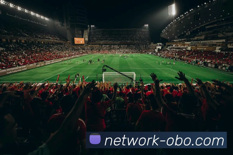 欧博娱乐APP 封面图