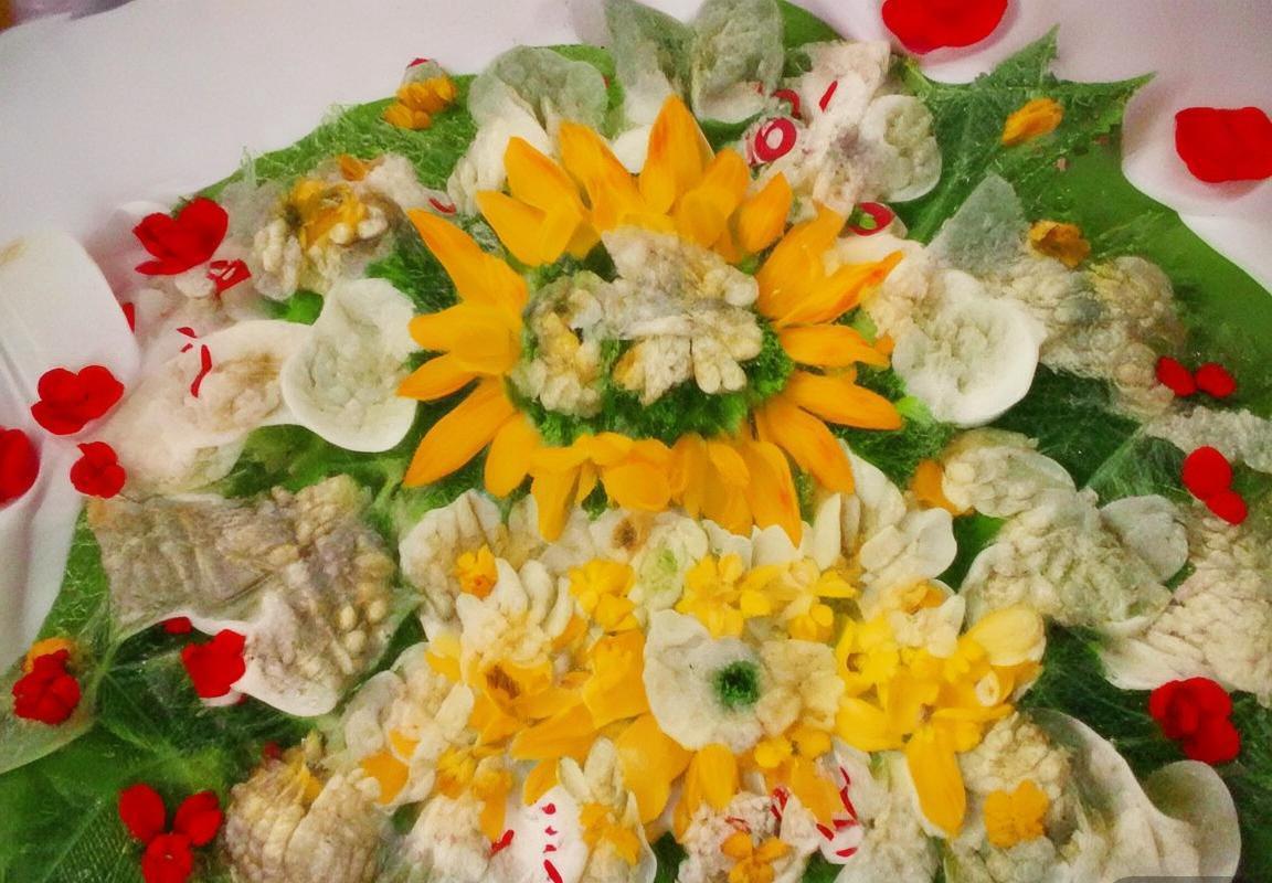 高诗岩篮球生涯：从新星到国家队之星的成长之路