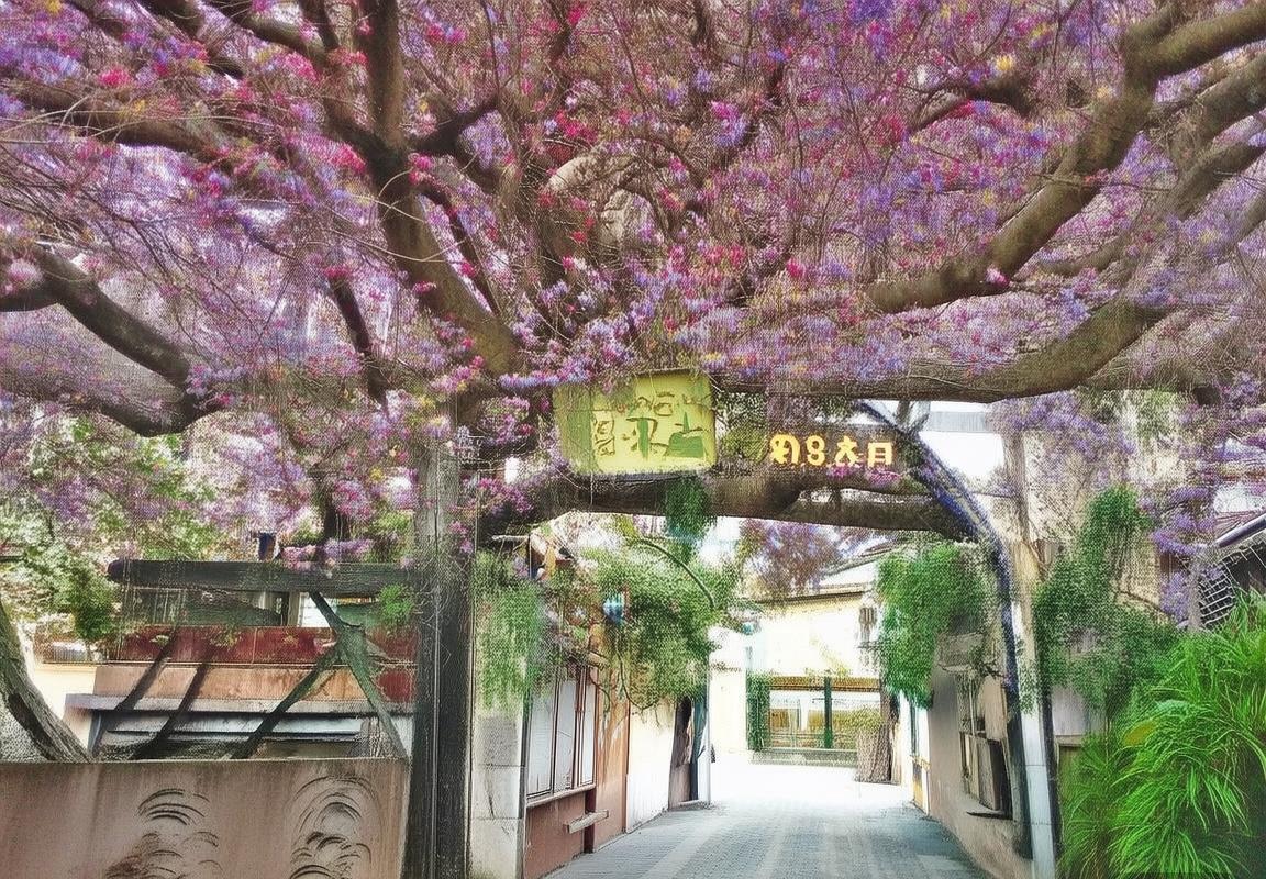 弗赖堡vs拜仁慕尼黑：德甲激战回顾与战术分析(图2)